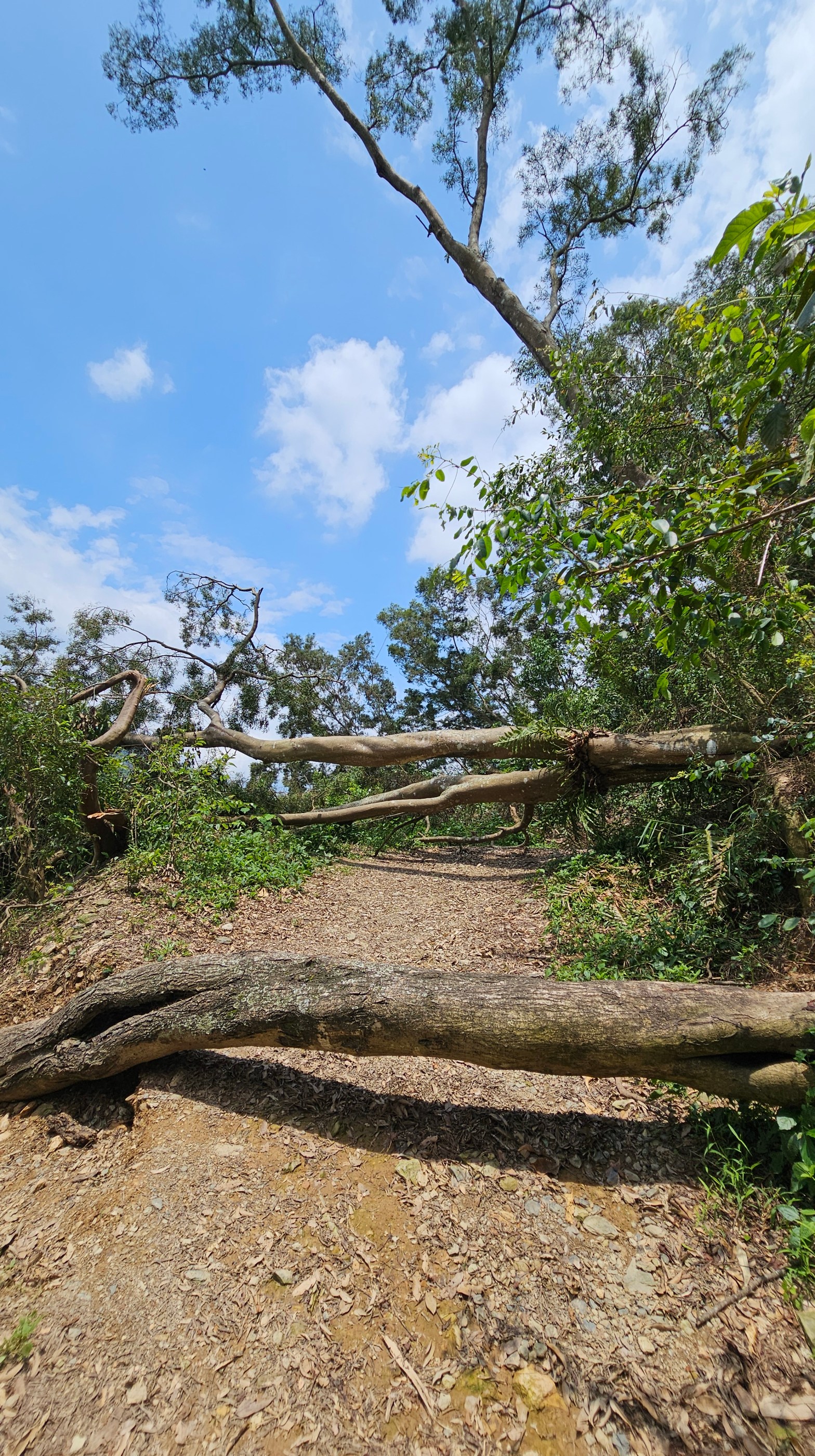 六度朝聖魔王小百岳：自然與挑戰的完美交織