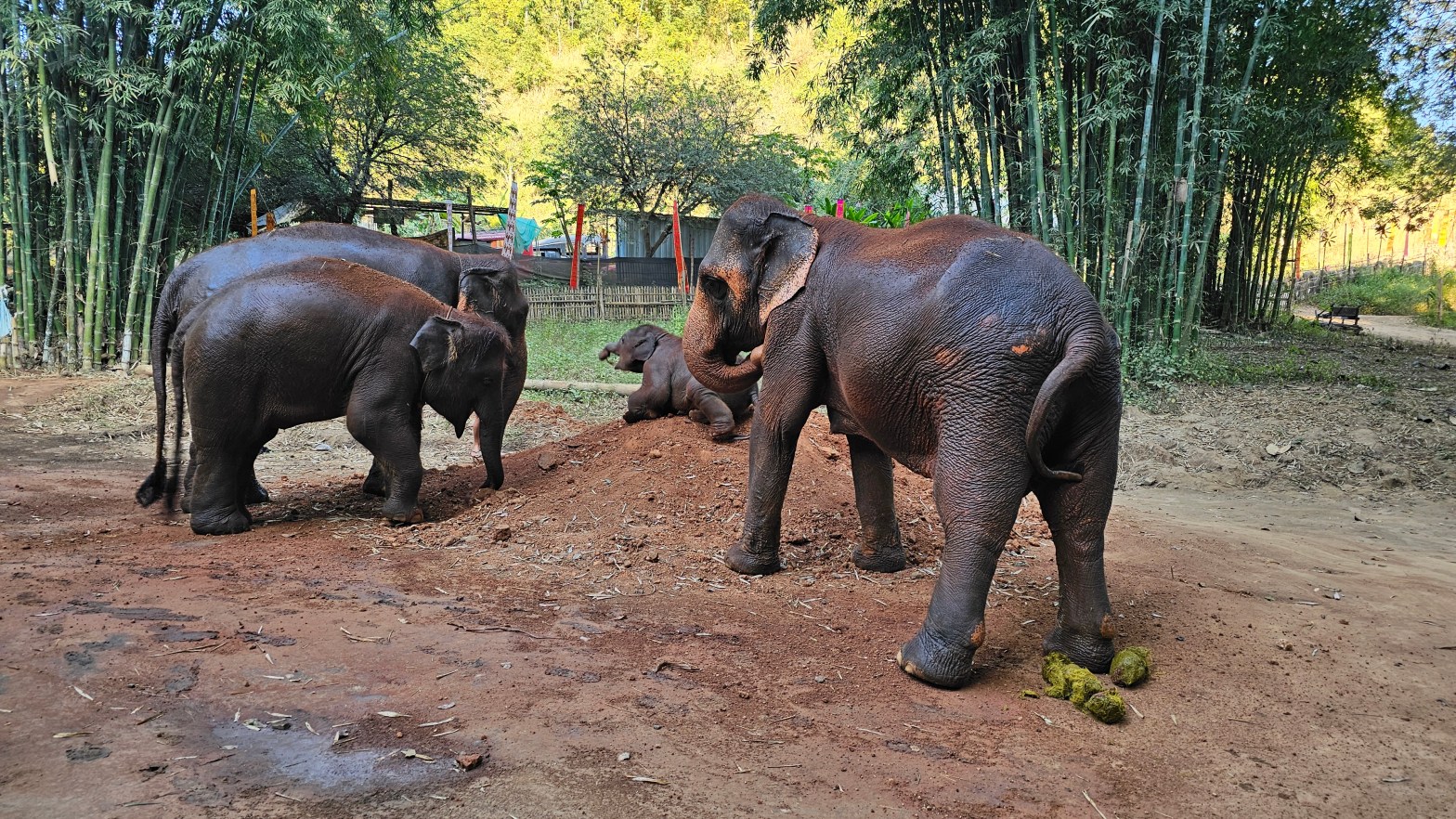 清邁這樣泰好玩，懶人筆記一次看